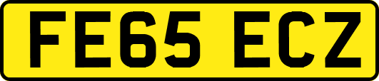 FE65ECZ