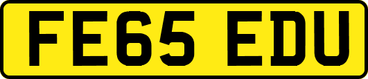 FE65EDU