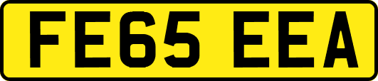 FE65EEA