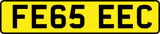FE65EEC