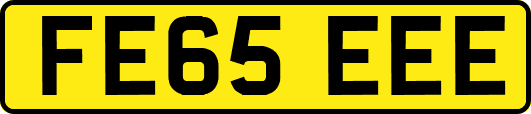 FE65EEE