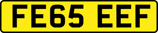 FE65EEF