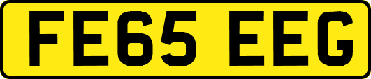 FE65EEG