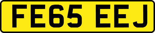 FE65EEJ