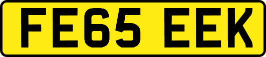 FE65EEK