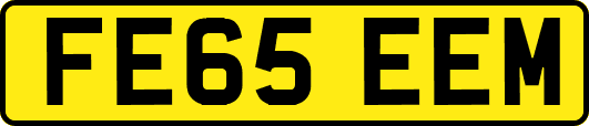 FE65EEM