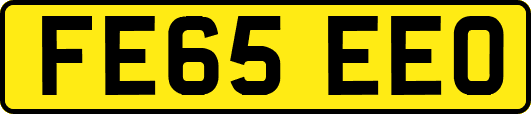 FE65EEO