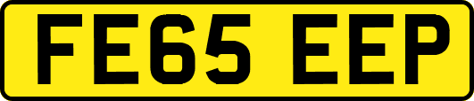 FE65EEP