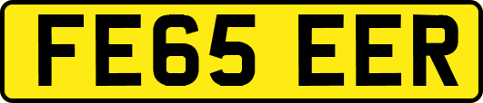 FE65EER