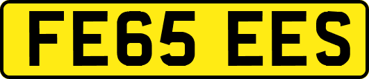 FE65EES