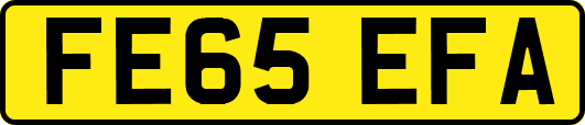FE65EFA