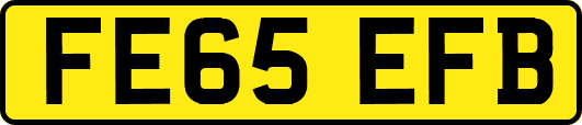FE65EFB