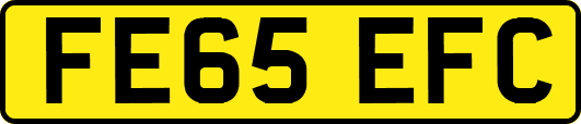 FE65EFC