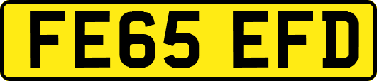 FE65EFD