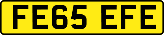 FE65EFE