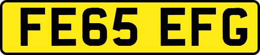 FE65EFG
