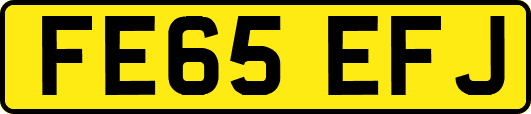 FE65EFJ