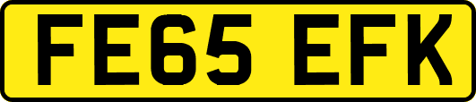 FE65EFK