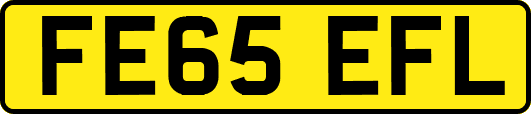 FE65EFL