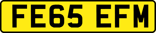 FE65EFM