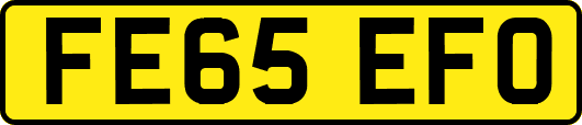 FE65EFO