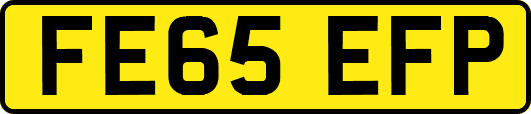 FE65EFP
