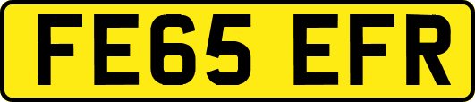 FE65EFR