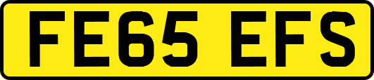 FE65EFS