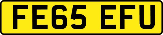 FE65EFU