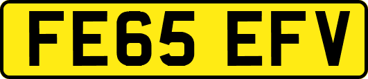 FE65EFV