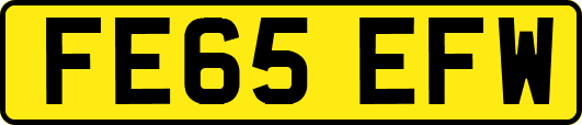 FE65EFW