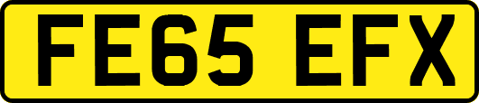 FE65EFX