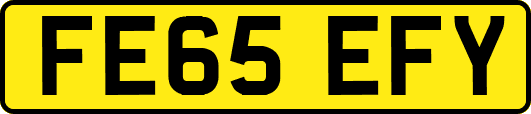 FE65EFY