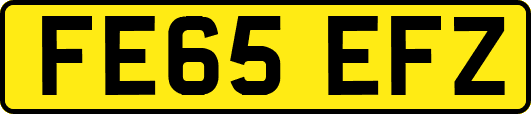 FE65EFZ