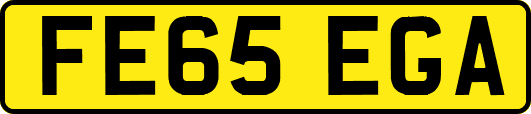 FE65EGA
