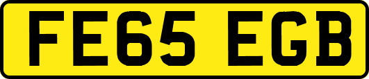 FE65EGB