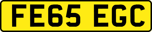 FE65EGC