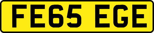 FE65EGE