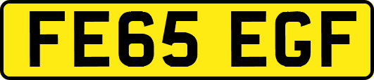 FE65EGF