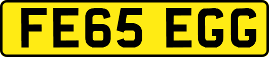 FE65EGG