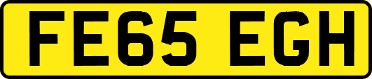 FE65EGH