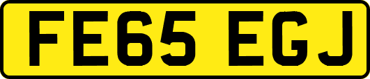 FE65EGJ