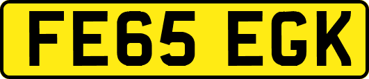 FE65EGK