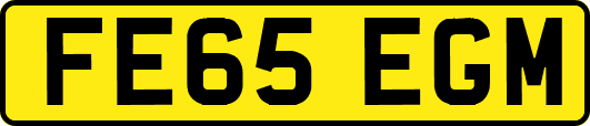 FE65EGM