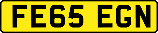 FE65EGN