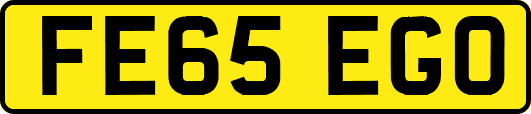 FE65EGO