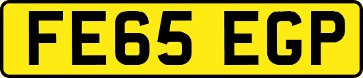 FE65EGP