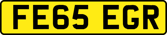 FE65EGR