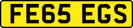 FE65EGS
