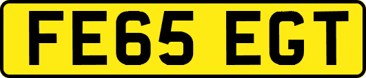 FE65EGT